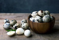 Fresh Quail Eggs
