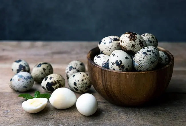 Fresh Quail Eggs